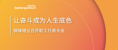 qy球友会(中国)锂业召开职工代表大会 坚持向奋斗者倾斜更多资源