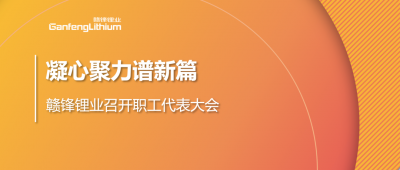 凝心聚力谱新篇 qy球友会(中国)锂业第五届职工代表大会顺利召开